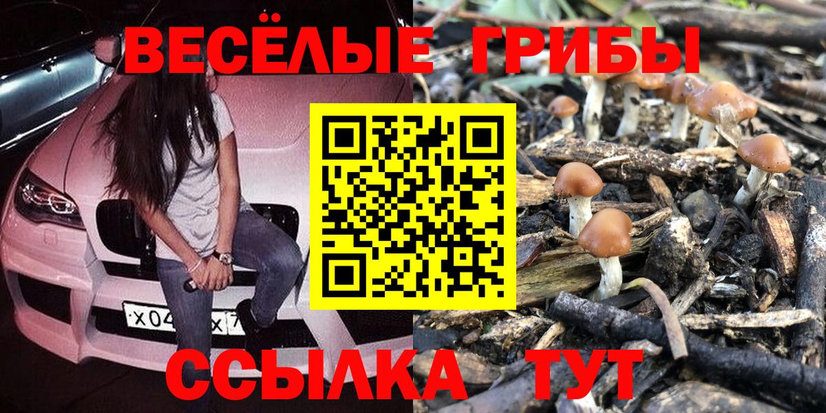 Псилоцибиновые грибы ЛСД Нижнеудинск